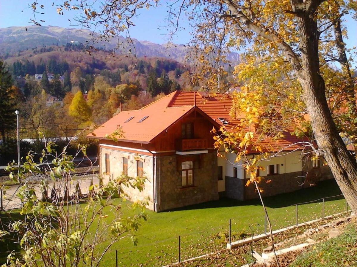 Pensiunea Piscul Cainelui Синая Экстерьер фото